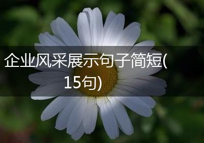 企业风采展示句子简短(15句)