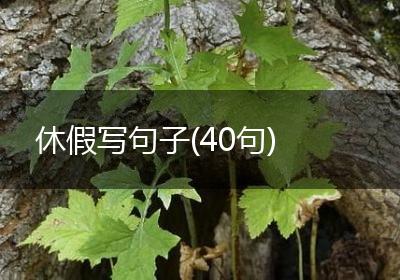 休假写句子(40句)