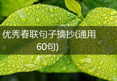 优秀春联句子摘抄(通用60句)
