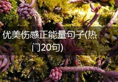 优美伤感正能量句子(热门20句)