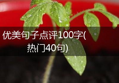 优美句子点评100字(热门40句)
