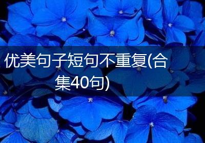 优美句子短句不重复(合集40句)