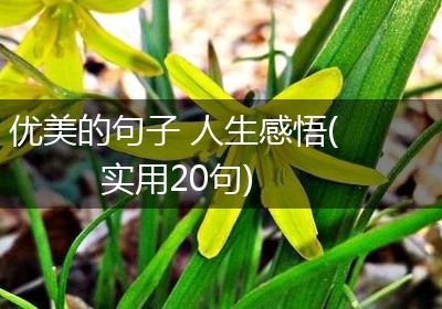 优美的句子 人生感悟(实用20句)