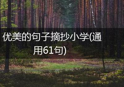 优美的句子摘抄小学(通用61句)