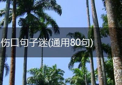 伤口句子迷(通用80句)