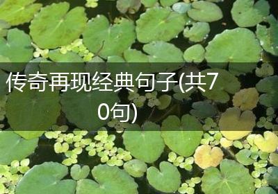 传奇再现经典句子(共70句)