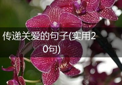 传递关爱的句子(实用20句)