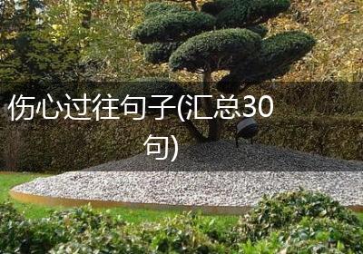 伤心过往句子(汇总30句)
