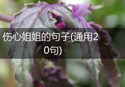 伤心姐姐的句子(通用20句)