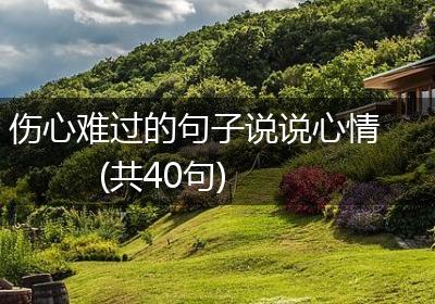 伤心难过的句子说说心情(共40句)