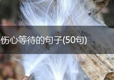 伤心等待的句子(50句)