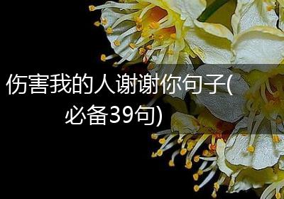 伤害我的人谢谢你句子(必备39句)