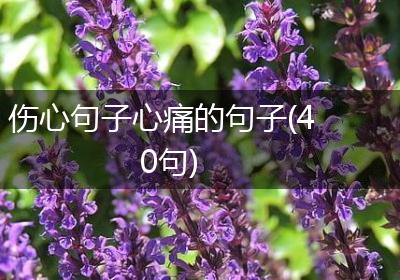伤心句子心痛的句子(40句)