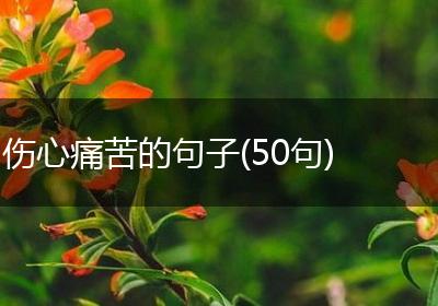 伤心痛苦的句子(50句)