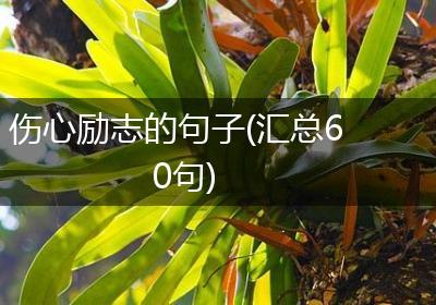 伤心励志的句子(汇总60句)