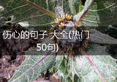伤心的句子 大全(热门50句)