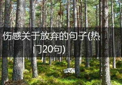 伤感关于放弃的句子(热门20句)