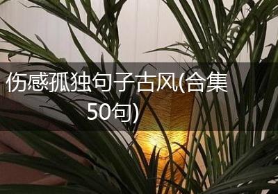 伤感孤独句子古风(合集50句)