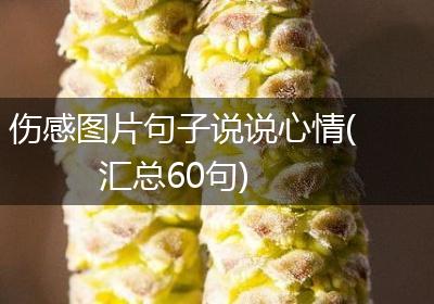 伤感图片句子说说心情(汇总60句)