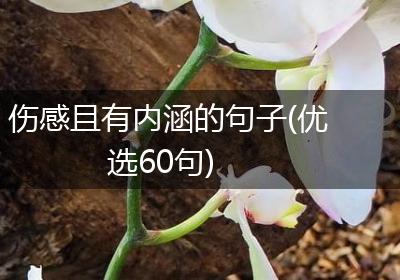 伤感且有内涵的句子(优选60句)
