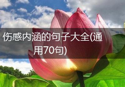 伤感内涵的句子大全(通用70句)