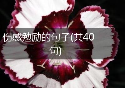 伤感勉励的句子(共40句)