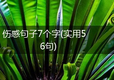 伤感句子7个字(实用56句)