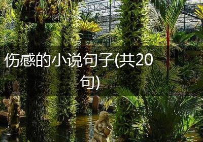 伤感的小说句子(共20句)