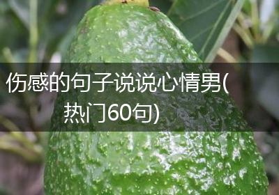 伤感的句子说说心情男(热门60句)