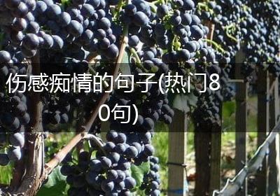 伤感痴情的句子(热门80句)