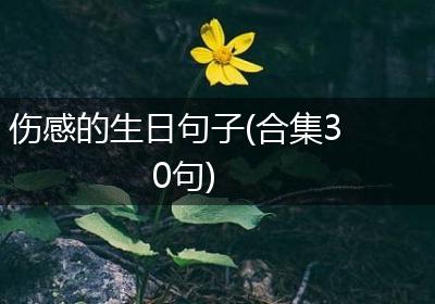 伤感的生日句子(合集30句)
