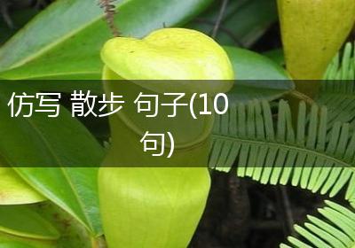 仿写 散步 句子(10句)