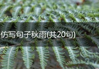仿写句子秋雨(共20句)