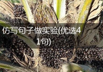 仿写句子做实验(优选41句)