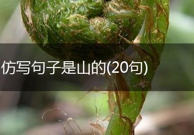 仿写句子是山的(20句)