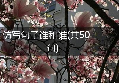 仿写句子谁和谁(共50句)