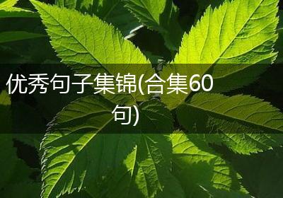 优秀句子集锦(合集60句)