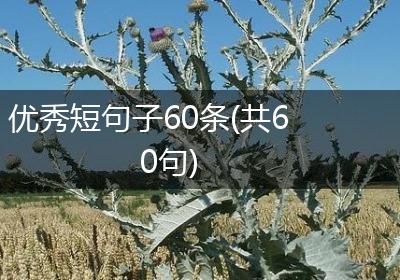 优秀短句子60条(共60句)