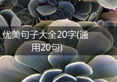 优美句子大全20字(通用20句)