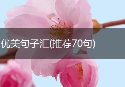 优美句子汇(推荐70句)