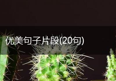 优美句子片段(20句)