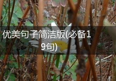优美句子简洁版(必备19句)