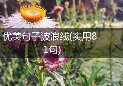 优美句子波浪线(实用81句)