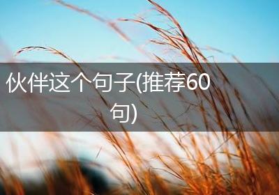 伙伴这个句子(推荐60句)