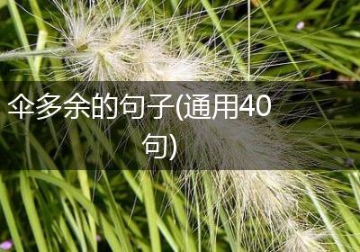伞多余的句子(通用40句)