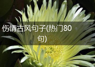 伤情古风句子(热门80句)