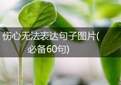 伤心无法表达句子图片(必备60句)