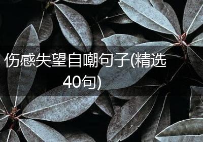 伤感失望自嘲句子(精选40句)