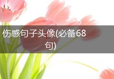 伤感句子头像(必备68句)