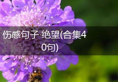 伤感句子 绝望(合集40句)